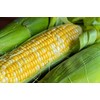 30 Peaches and Cream Hybrid Sweet Corn Seeds Heirloom Non