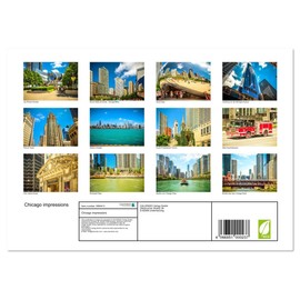 Chicago impressions (Monthly Wall Calendar 2025 11.7" x 16.5" (open)), CALVENDO 14 Month Calendar