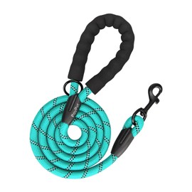 PoyPet Dog Leash 5 Feet for Small Medium and Large Dogs Reflective Heavy Duty Padded Rubber Handle 360° No Tangles（Mint Blue）