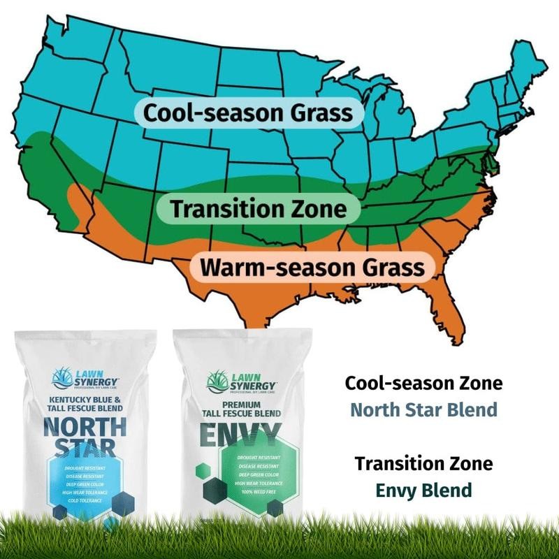 North Star Grass Seed | Premium Kentucky Bluegrass & Tall