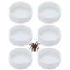 6 Pack Tarantula Ceramic Feeding Bowl Hermit Crab Water Bowl