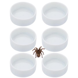 6 Pack Tarantula Ceramic Feeding Bowl Hermit Crab Water Bowl Spider Snail Insect Micro Food Dish (White, 1.25" D, 0.51" H)
