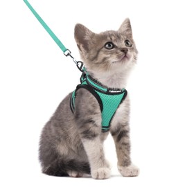 rabbitgoo Cat Harness and Lead Set for Walking Adjustable Soft Kitten Harness and Lead Set Vest with Reflective Strip for Extra Small Cats Escape Proof, Comfortable Outdoor Pet Vest, Green, S