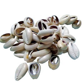 100 Pcs Natural Cowrie Shells Beads Oval Beach Seashells African Shells for Hair Jewelry Making DIY Craft