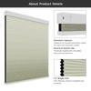 Changshade Blackout Smart Blinds Cellular Shades for Windows Doors Motorized