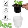 ONVAYA® Herb Pot Self-Watering | Water Level Readable | Set