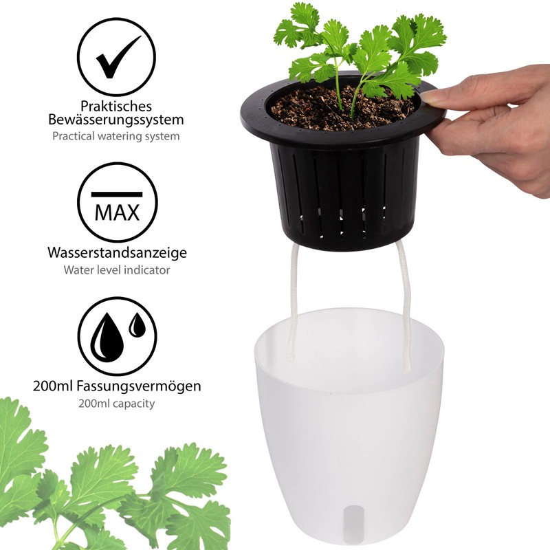 ONVAYA® Herb Pot Self-Watering | Water Level Readable | Set