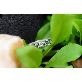 Windalf Delicate Bohemia Silver Ring RICARA 3 mm Braid Pattern Band Ring Women's Ring Viking Jewellery 925 Sterling Silver, Fabric, No Gemstone