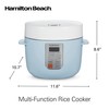 Hamilton Beach Digital Programmable Rice Cooker & Food Steamer,12 Cups