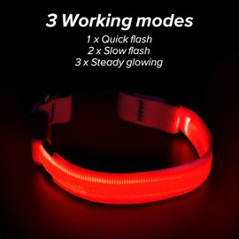 Illumifun LED Dog Collar, Adjustable USB Rechargeable Glowing Pet Safety Collar, Reflective Light Up Collars for Your Small Medium Large Dogs