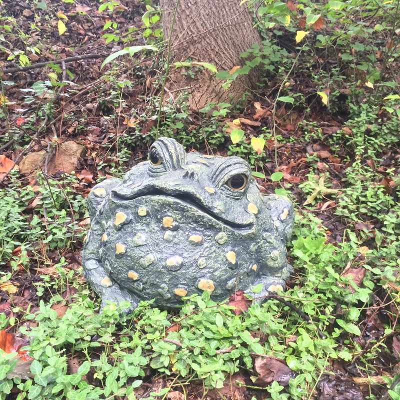 HomeStyles Toad Hollow Super Jumbo Toad Natural Green