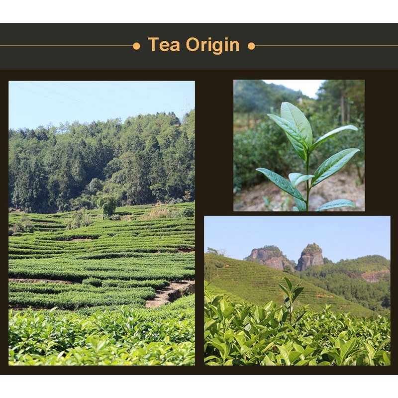 Luxtea Chinese Top10 Famous Tea – Wuyi Da Hong Pao