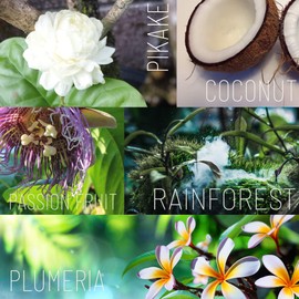 Tropical Apothecary Ola Plumeria Body Butter with Pure Tropical Oils and Plant Extracts - 2.1 oz