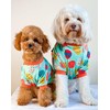Fitwarm Easter Egg Dog Pajamas, Holiday Dog Clothes for Small