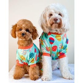 Fitwarm Easter Egg Dog Pajamas, Holiday Dog Clothes for Small Dogs Girl Boy, Pet Easter Outfit, Puppy Cat Onesie, Lightweight Velvet, Light Green, Orange, XXL