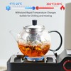 28OZ Glass Teapot with Infuser Stovetop Safe, 800ml Borosilicate Glass