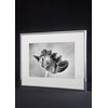 accent by nielsen Accent Aluminium Picture Frame 20 x 30