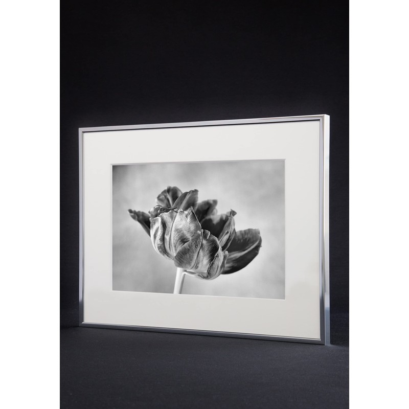 accent by nielsen Accent Aluminium Picture Frame 20 x 30