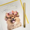 Old English Co. Pomeranian Puppy Very Happy Birthday Card for