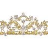SAMKY Flower Leaf Crystal Pageant Bridal Tiara Crown - Clear