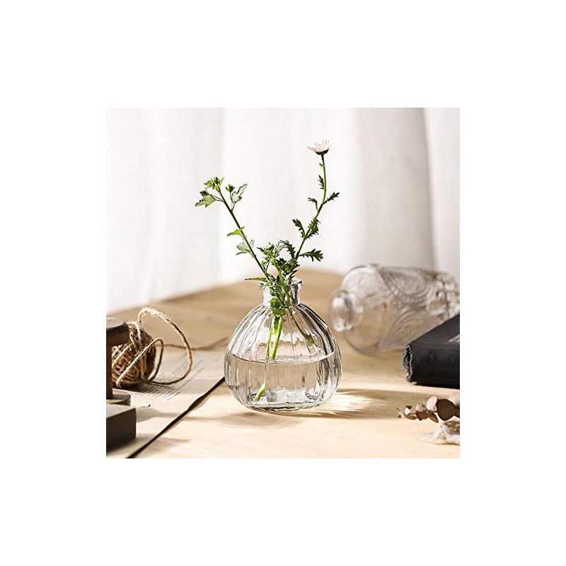 vipolish 1Pcs Empty Clear Glass Diffuser Bottle Aromatherapy Diffuser Jar