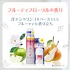 Rexena Dry Shield Powder Stick, Fruity Floral, Main Unit Set,