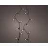 Lumineo Basic Classic Warm Fairy Lights – 40 LEDs –
