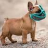 Muzzle with Short Snout, Dog Muzzle Mesh Adjustable French Bulldog