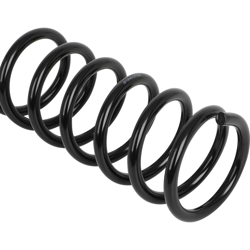 TFGCSG 2pcs Rear Pair Suspension Coil Spring for 2009-2014 for