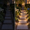 10-Pack Outdoor Solar Landscape Lights with IP65 Water Resistance