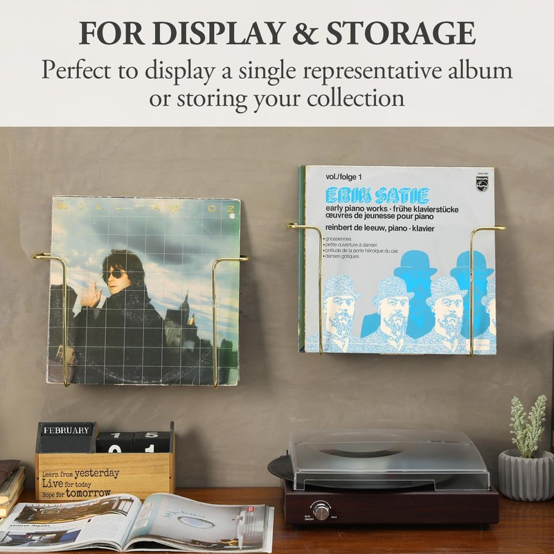 MyGift Modern Metal Wire Wall Mounted Vinyl Records Storage Racks,