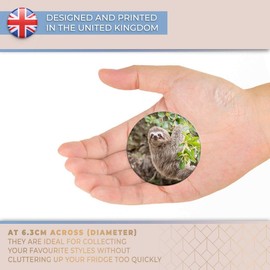 Destination Vinyl ltd Magnet for Refrigerator, Fridge - Cute Sloth Lazy Funny Animal for Office, Cabinet and Whiteboard, Magnetic Stickers, 2087