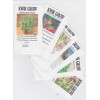 Kwik Grow 100 California Wonder Bell Pepper Heirloom Seeds, NON-GMO,