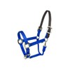 Gatsby Gold Nylon Breakaway Halter Horse Blue