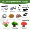 (Tank + Light +Pump + Filter + Filter Balls) Turtle