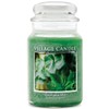Village Candle Eucalyptus Mint Large Glass Apothecary Jar Scented Candle,