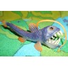 Sea Creature Replicas - Rubber/PVC - AAA