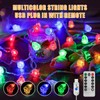 Reveren String Lights Indoor, Crystal Rose Bud LED String Lights