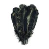 Zucker Loose Turkey Feathers - (25 Pack) Right Curving Natural