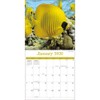 TURNER PHOTOGRAPHIC Sea Creatures 12x12 Photo Wall Calendar (26998940107)