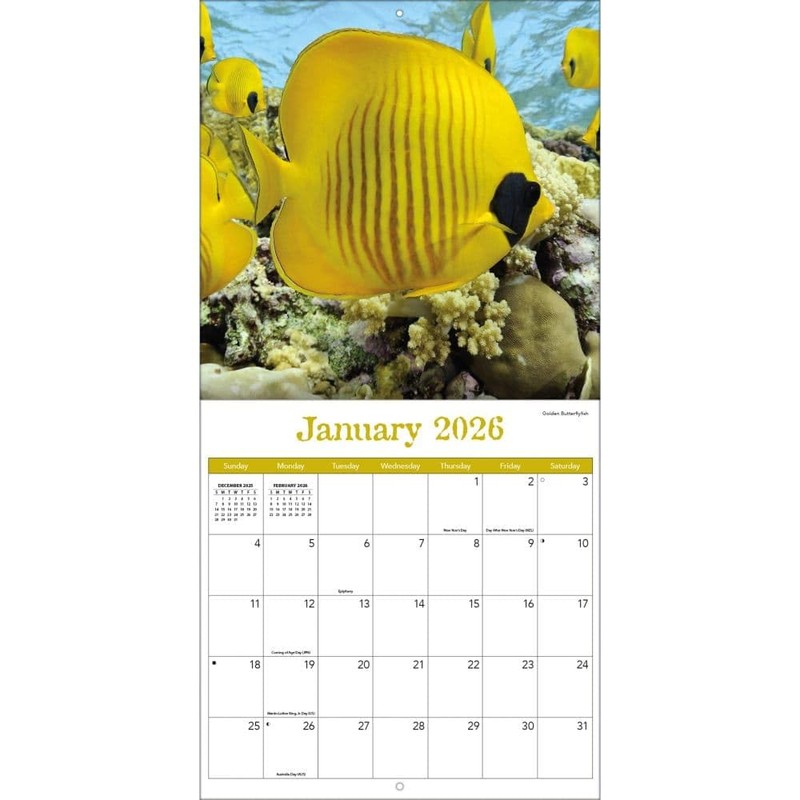 TURNER PHOTOGRAPHIC Sea Creatures 12x12 Photo Wall Calendar (26998940107)
