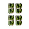 Happy Bath Olive Soap 90gx4P 4 pieces Happy Bath Soap Face Wash Beauty Face Wash Bath / 해피바스 올리브 비누 90gx4P 4개 해피바스비누 세수 미용 세안 목욕