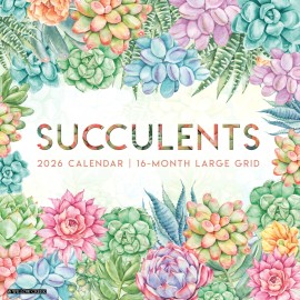 Willow Creek Press Succulents—Lar