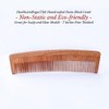 HealthAndYoga(TM) Handcrafted Neem Wood Comb - Anti Dandruff, Non-Static and