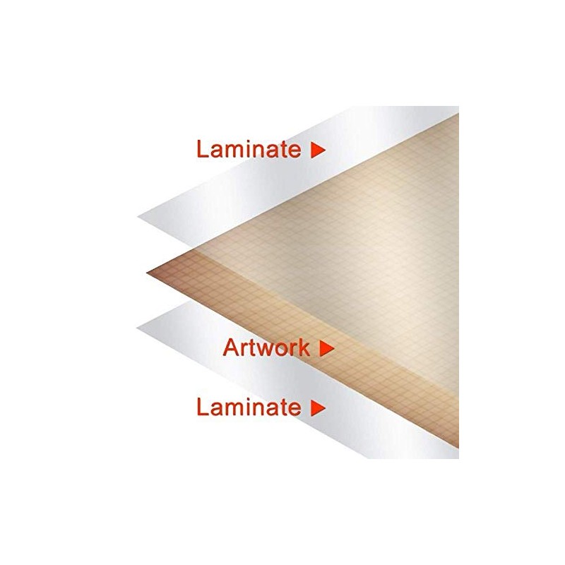 Scorpio Posters Silver Warrior - by Frank Frazetta - Laminated