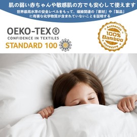 1 Piece Pillow Cover, 100% Natural Bamboo Fiber, Envelope Type, Soft, Smooth to the Touch, Solid Color, Washable, Dust Mites, Sweat Absorbent, Antibacterial, Deodorizing, Reduces Friction, Gentle on Sensitive Skin, High Density Fabric, 1 Piece Set (19.7 