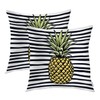 Batmerry Summer Pillow Covers 18X18, Pineapple Décor White Black Stripes