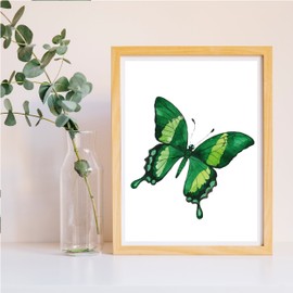 Nacnic Set of 4 Sheets for framing, 4 Colorful Butterflies, Size A4. Home Decor. Paper 250 Grams Decorate The Living Room, or make the perfect
