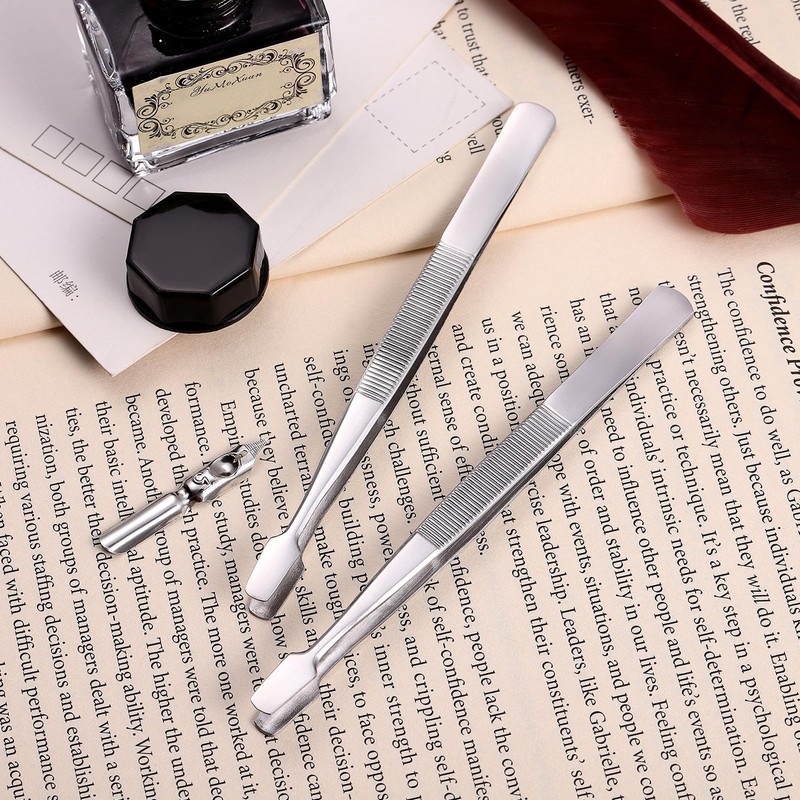 DECHOUS Tweezers for Stamps, Stainless Steel, Multi-purpose, Flat Point, Precision