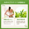 お茶のプロテイン（濃い緑茶） 275ｇ たんぱく質 国産茶葉 コラーゲンペプチド 抹茶 緑茶 シェイカー不要